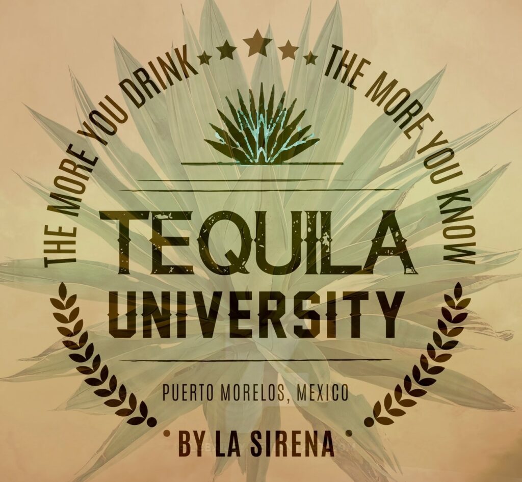 Square Tequila University by La Sirena Puerto Morelos logo featuring beige background with an agave plant and the Tequila University logo in the middle of a circle.